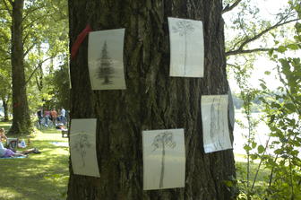 Ausstellung Ansicht, <Seh am See> 2006