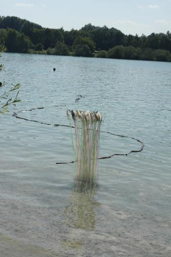 Cent oiseaux sans têtes, <Seh am See> 2006